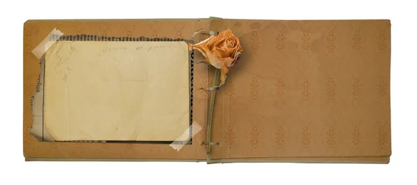 Old photo album with beautiful dried rose isolated on a white ba — Stock Photo, Image