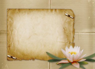 Nilüfer'den demet davet için vintage kartpostal