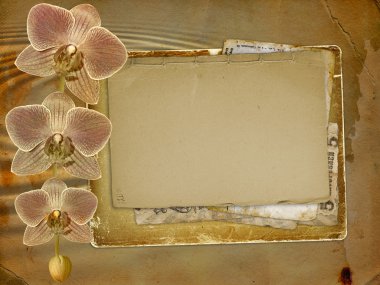 kutlama veya p bir dalı ile davet için eski kartpostal