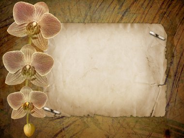 kutlama veya p bir dalı ile davet için eski kartpostal