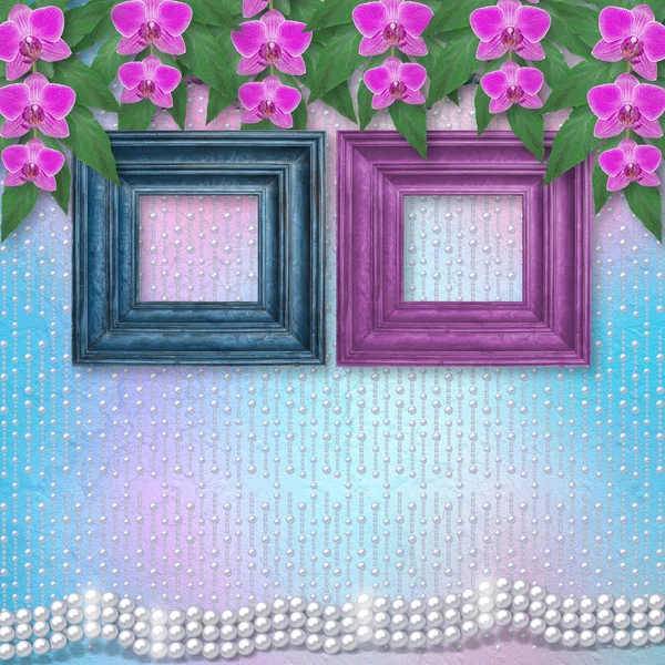 Houten frames op de muur met takken van prachtige orchideeën voor — Stockfoto