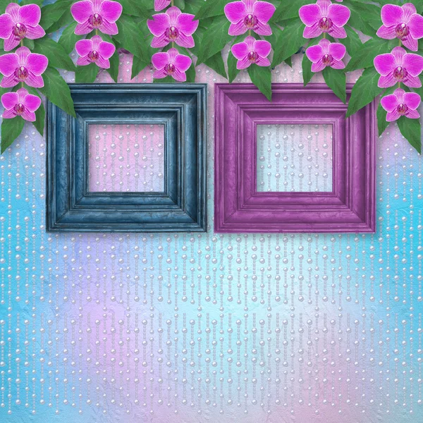 Houten frames op de muur met takken van prachtige orchideeën voor — Stockfoto
