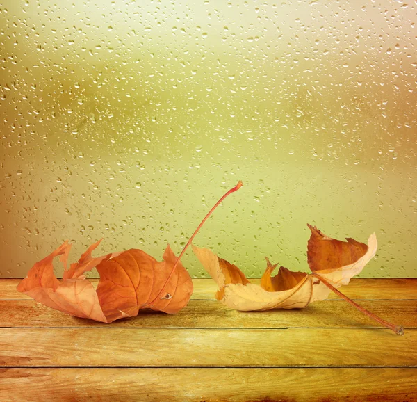 Gedroogd herfstbladeren liggend op de achtergrond van het regenachtige venster — Stockfoto