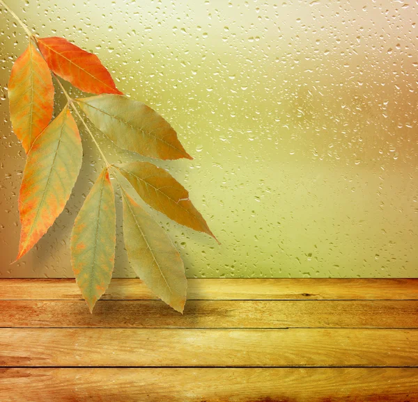 Dried autumn leaves lying on the background of the rainy window — Stock Photo, Image
