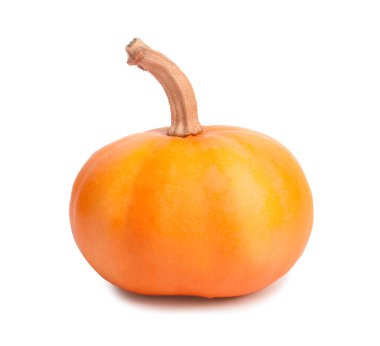 beyaz izole arka planda büyük sarı kabak