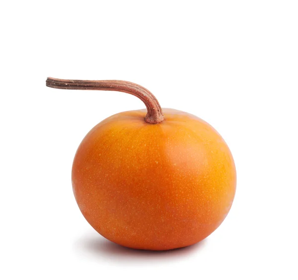 Big yellow pumpkin on a white isolated background — Stock Photo, Image