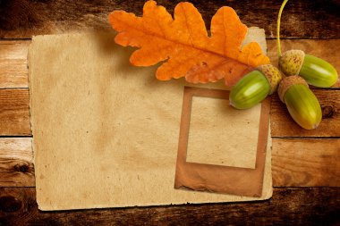 Eski meşe palamutları ve meşe sonbahar yaprakları ile abstra slayt grunge