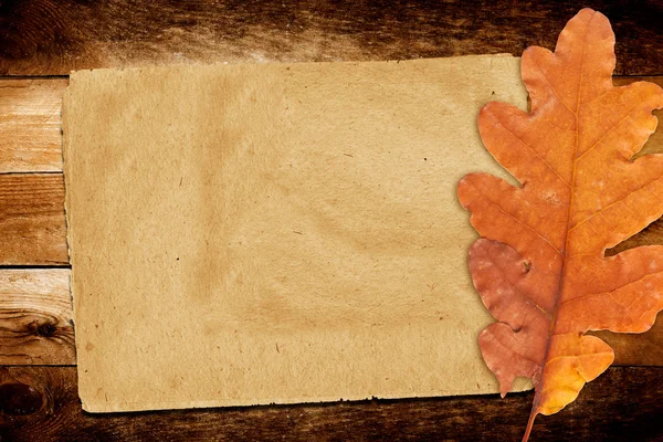 Old grunge paper with autumn oak leaves on the abstract backgro — Stock Photo, Image