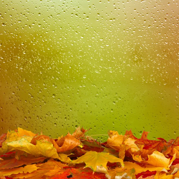 Getrocknete Herbstblätter liegen auf dem Hintergrund des verregneten Fensters — Stockfoto