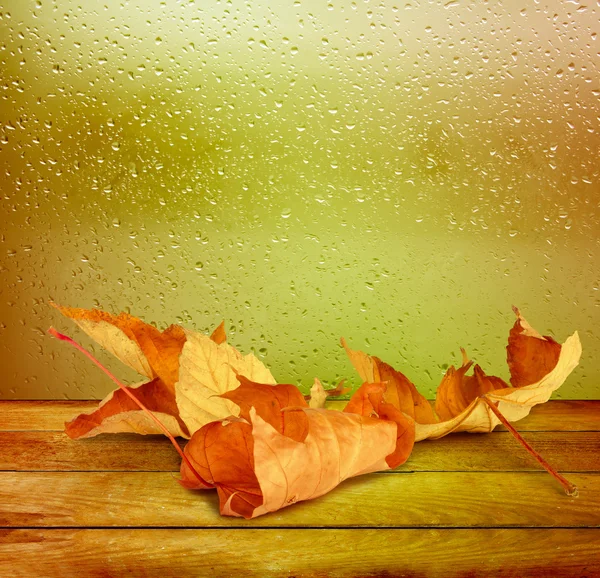 Dried autumn leaves lying on the background of the rainy window — Stock Photo, Image