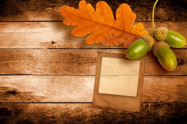 Eski meşe palamutları ve meşe sonbahar yaprakları ile abstra slayt grunge