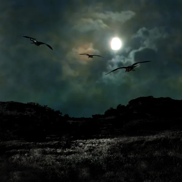 Olycksbådande mörka natten i dim månskenet på halloween — Stockfoto