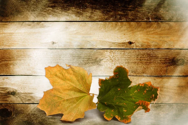 Helle Herbstblätter auf dem hölzernen Hintergrund — Stockfoto