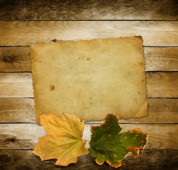 Bright autumn leaves on the wooden background — Stock Photo, Image