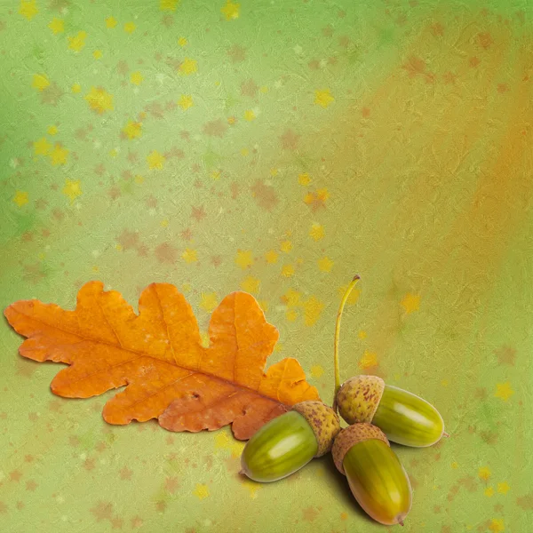 Papel grunge viejo con hojas de roble de otoño y bellotas en la abstra — Foto de Stock