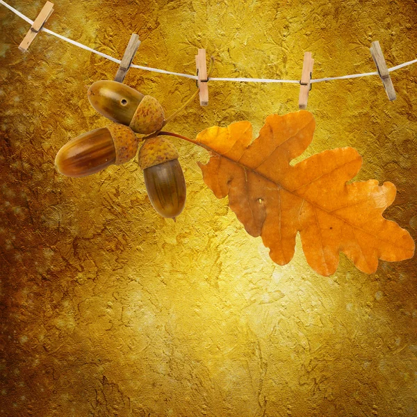 Oak branch with acorns hanging on clothesline on abstract backgr — Stock Photo, Image