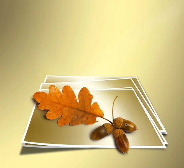 Herfst eiken tak met eikels op abstracte gouden achtergrond. conce — Stockfoto