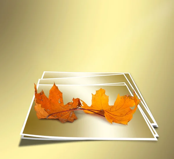 Herfst esdoorn bladeren op abstracte gouden achtergrond. concept. — Stockfoto