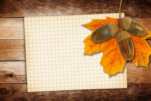 Stary papier z dąb jesień liście i żołędzie na abstra — Zdjęcie stockowe
