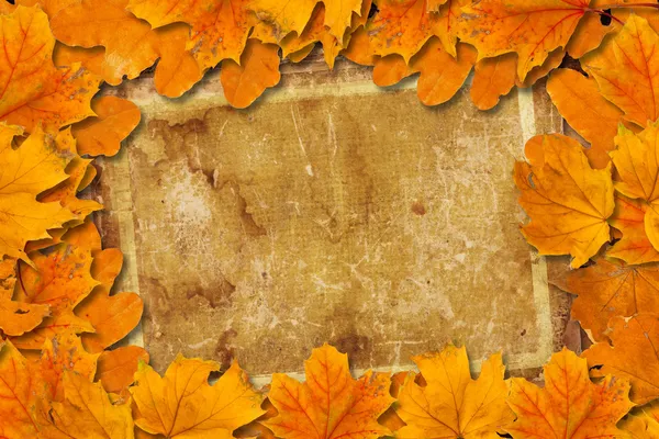 Bright fallen autumn leaves on the old paper background — Stock Photo, Image