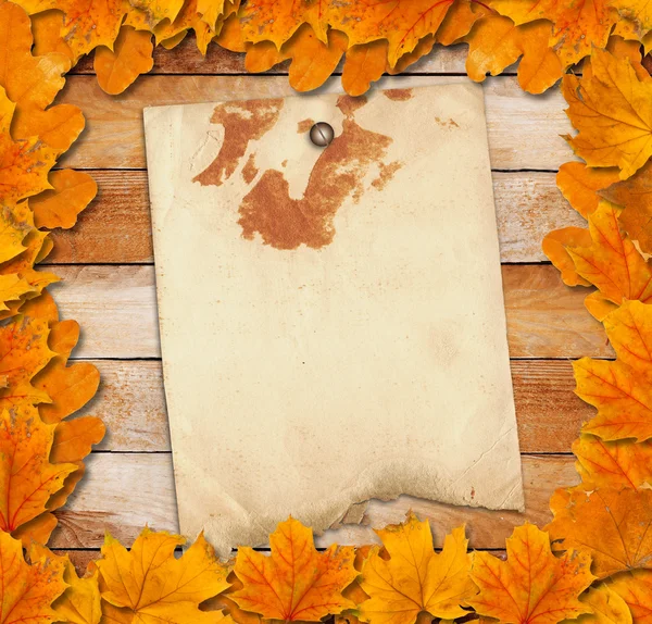 Bright autumn leaves on the old grunge wooden background — Stock Photo, Image