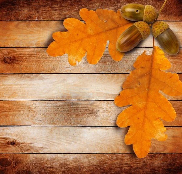 Helle Herbstblätter auf dem alten Grunge-Holzgrund — Stockfoto