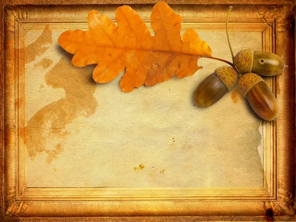 Old grunge paper with autumn oak leaves and acorns — Stock Photo, Image