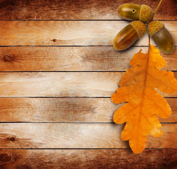 Bright autumn leaves on the old grunge wooden background — Stock Photo, Image