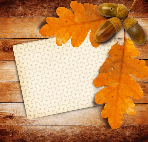 Vecchia carta grunge con foglie di quercia autunnale e ghiande — Foto Stock