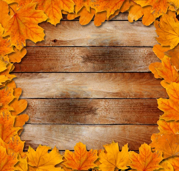 Bright autumn leaves on the old grunge wooden background — Stock Photo, Image