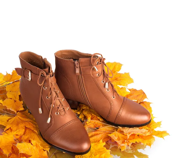 Pair of brown female boots on a background of golden autumn leav — Stock Photo, Image