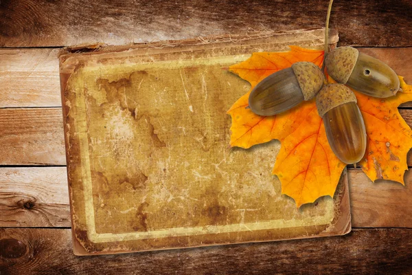Oud grunge papier met herfst eiken bladeren en eikels — Stockfoto