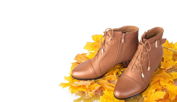 Par de botas femeninas marrones sobre un fondo de hojas doradas de otoño — Foto de Stock