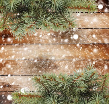 karla kaplı ahşap arka plan üzerinde Noel ağacı dalı