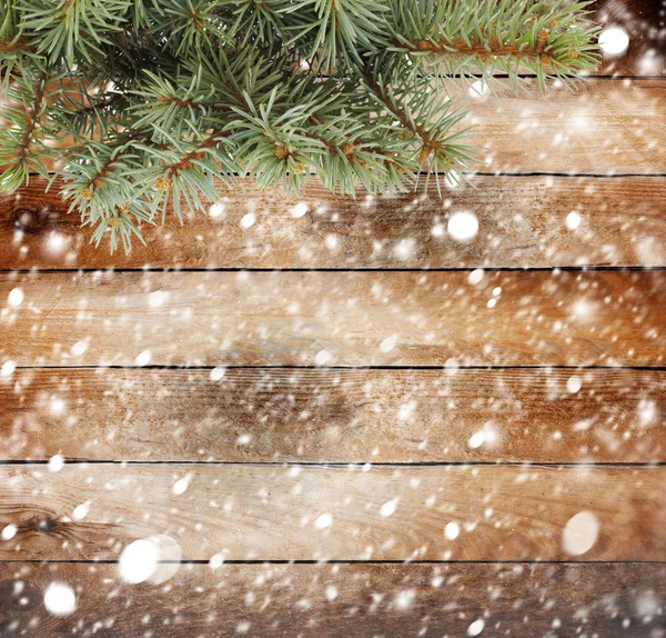 Ramo dell'albero di Natale — Foto Stock