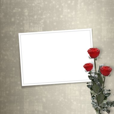 için kutlama veya kırmızı gül ile davet