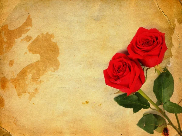 Grunge ancient used paper in scrapbooking style with roses — Stock Photo, Image