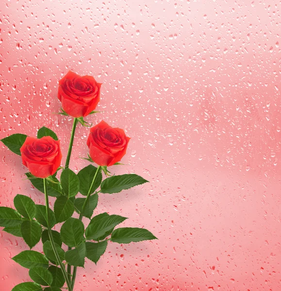 Rosas vermelhas na janela — Fotografia de Stock