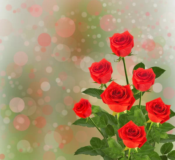 Bukiet czerwonych róż — Zdjęcie stockowe