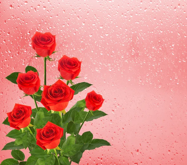 Rode rozen over venster met regendruppels — Stockfoto