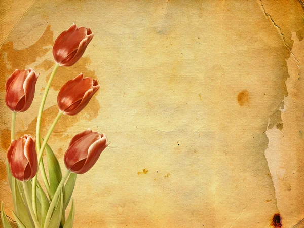 Strauß roter Tulpen mit grünen Blättern — Stockfoto