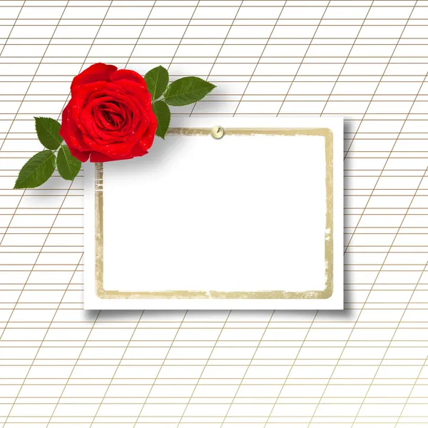 Rose avec carte d'invitation — Photo