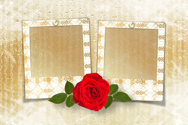 Photo slides texture Royalty Free Stock Photos