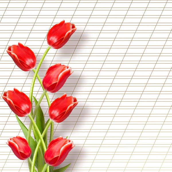 Ramo de hermosos tulipanes rojos con saludo sobre papel blanco bac — Foto de Stock