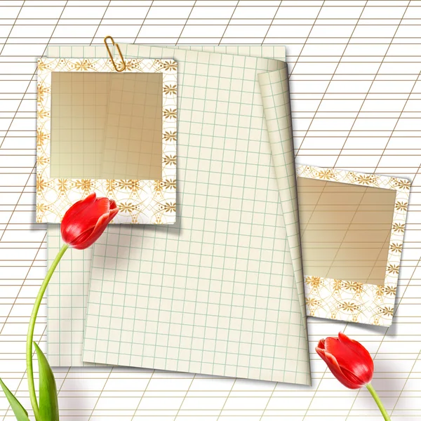 Ramo de hermosos tulipanes rojos con diapositivas sobre papel respaldo blanco —  Fotos de Stock