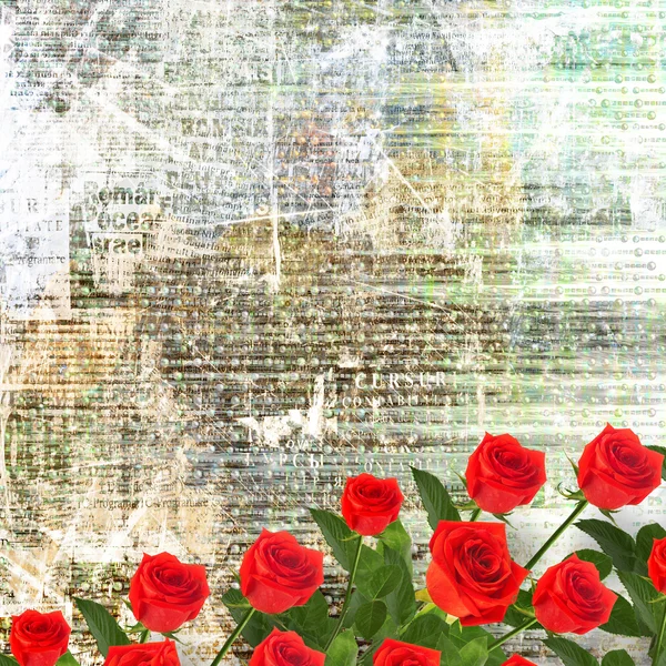 Rosa rossa con foglie verdi — Foto Stock