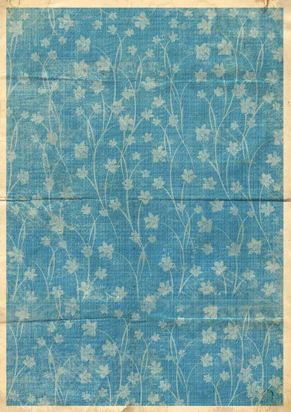 Old postcard with orchids Royalty Free Stock Photos