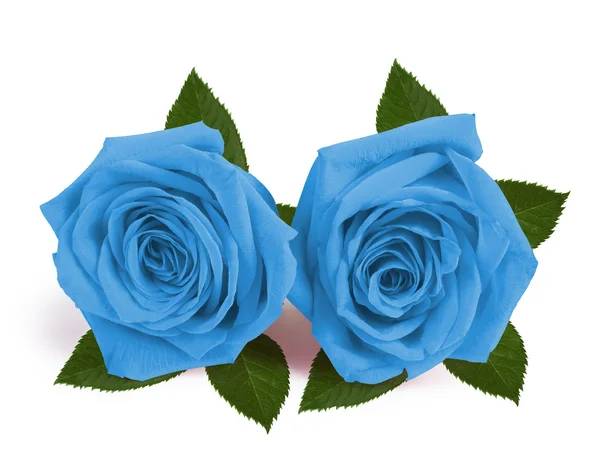 A couple gift roses on valentine day — Stock Photo, Image