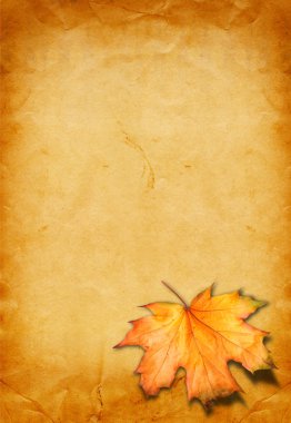 Grunge kağıt scrapbooking tarzı fotoğraf çerçevesi ve au tasarımında