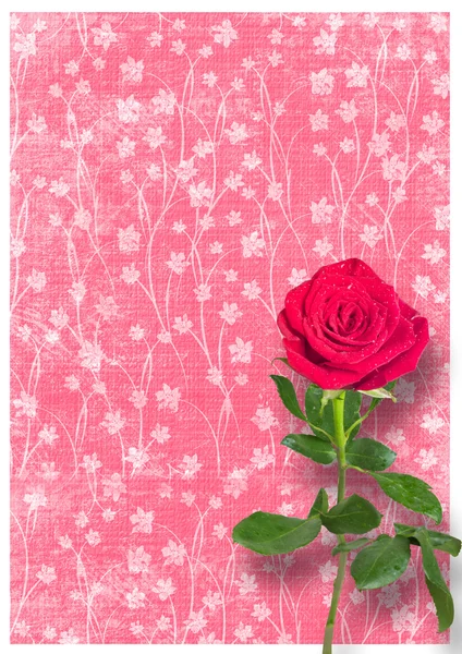 Grunge vieux papier utilisé dans le style scrapbooking avec des roses — Photo